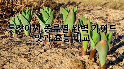 톳장아찌 종류별 완벽 가이드: 맛과 효능 비교