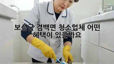 보성군 겸백면 청소업체, 어떤 혜택이 있을까요?