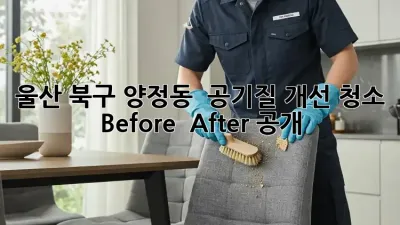 울산 북구 양정동 🏡 공기질 개선 청소 Before & After 공개! 😲
